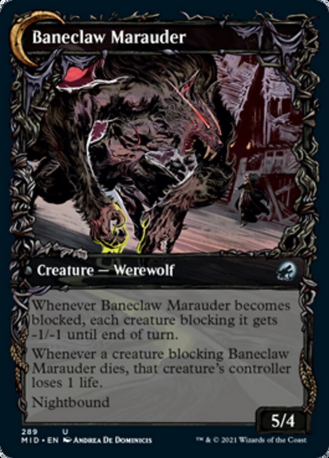 Baneblade Scoundrel // Baneclaw Marauder (Showcase) back