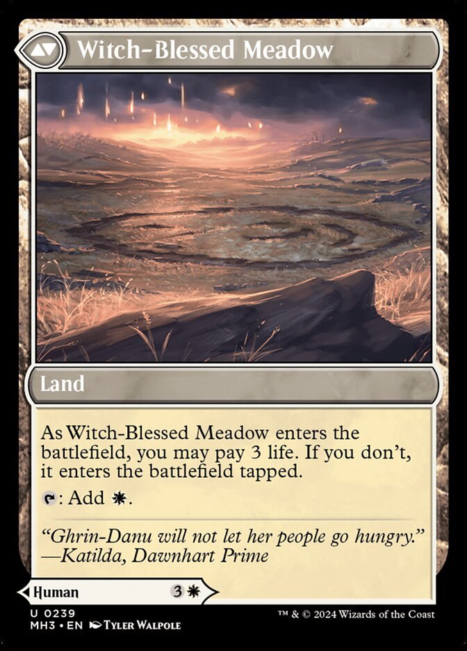 Witch Enchanter // Witch-Blessed Meadow back